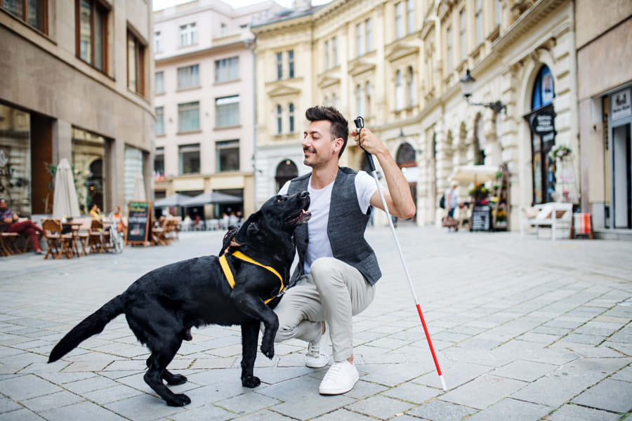 Jeune aveugle avec canne blanche et chien-guide sur la zone piétonne de la ville.  de Jozef Polc sur 500px.com